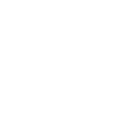 Universidad IBERO