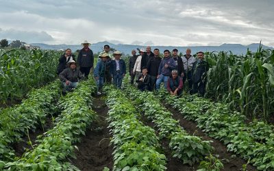 Innovación y diálogo de saberes en Escuelas de Campo de la región de Los Volcanes